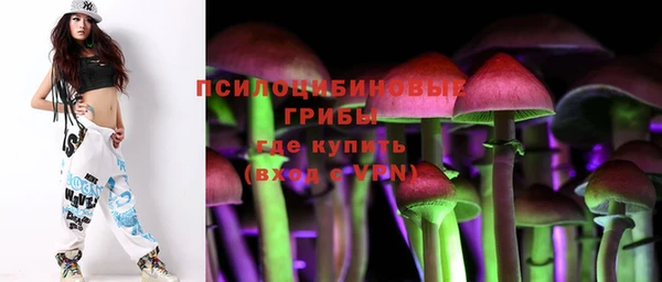 гидра Зерноград