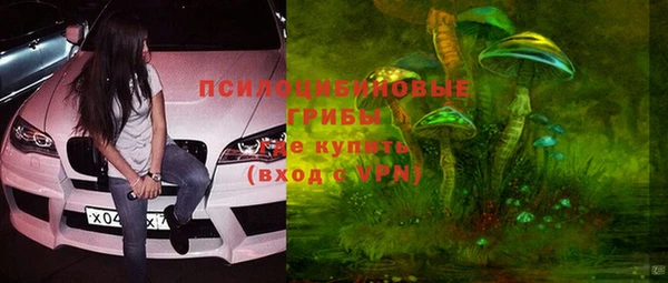 spice Зеленодольск
