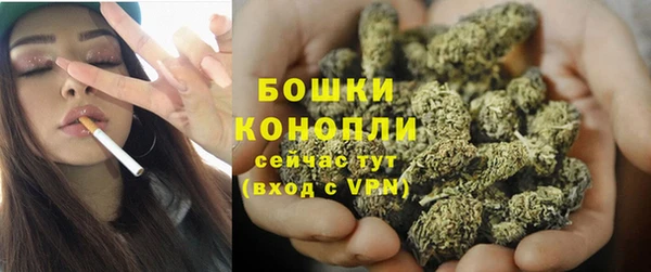 apvp Каменка