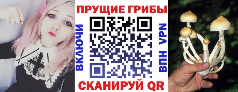 Псилоцибиновые грибы MAGIC MUSHROOMS Кувшиново